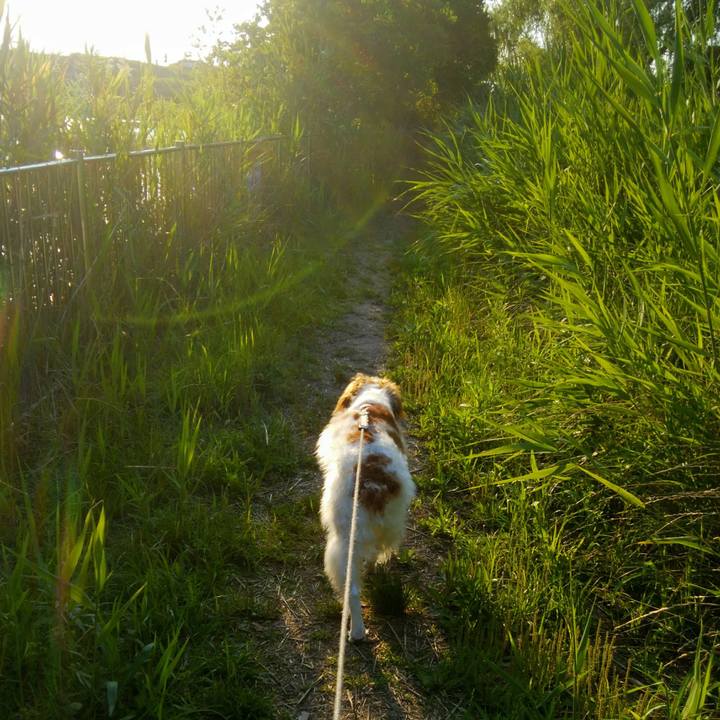 Ccff1df3 a138 4584 a1f6 3872b8f2a05b 1561463910348