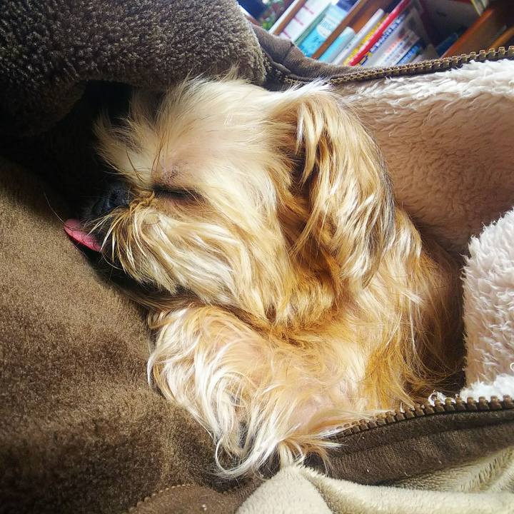 Ccff2a50 7645 42b7 8007 1b4cfc7d52a8 1586236089626