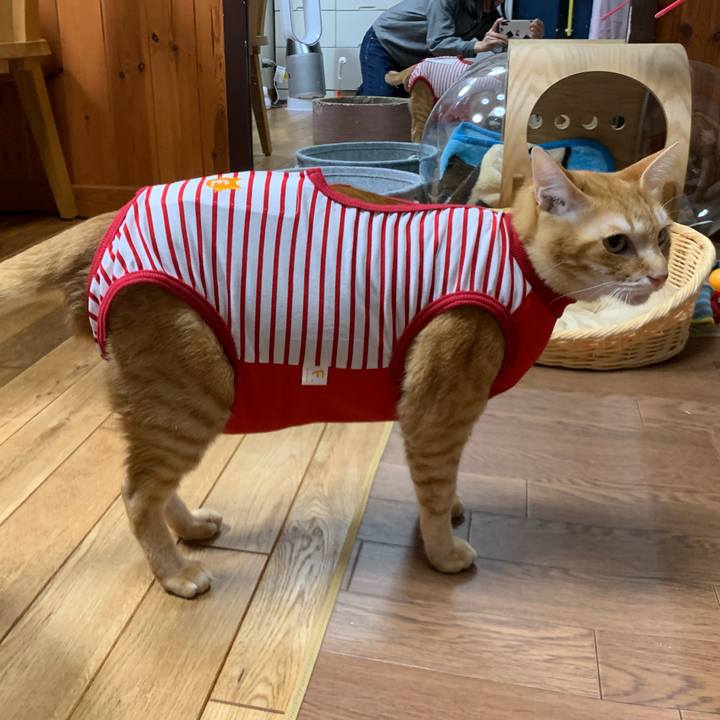 Ccff51d7 bbb5 408d 8a34 c808ad16c5c8 1586259512259