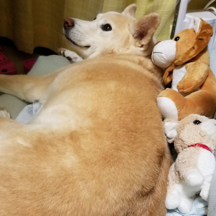 Ccff5753 bc2d 44bd aef6 545f49f456c1 1574160892681