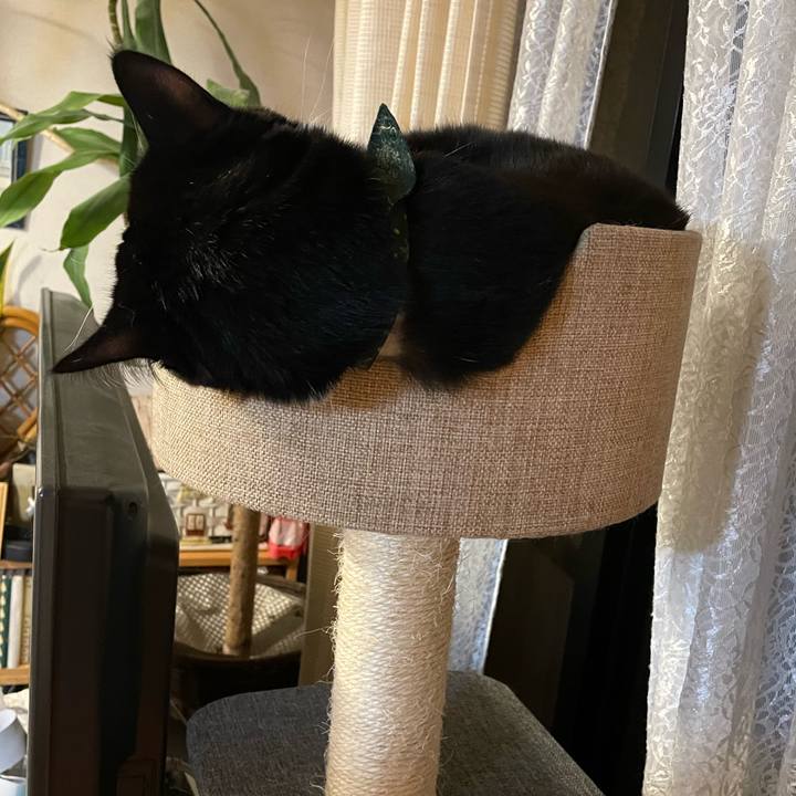 Ccff64c1 88e9 4c01 beac 1917eff634a8 1702295775494