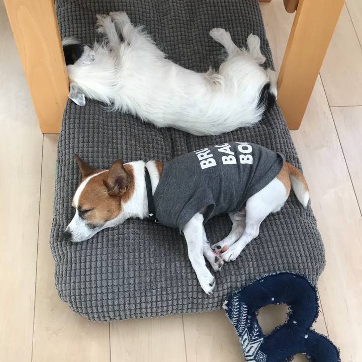 Ccff72b9 d485 475b 8b6c 12e8c81f9e3f 1534918615993