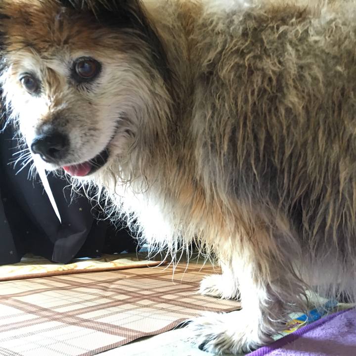 Ccff8d82 8a6d 4c51 a600 bbe734fac049 1560382508219