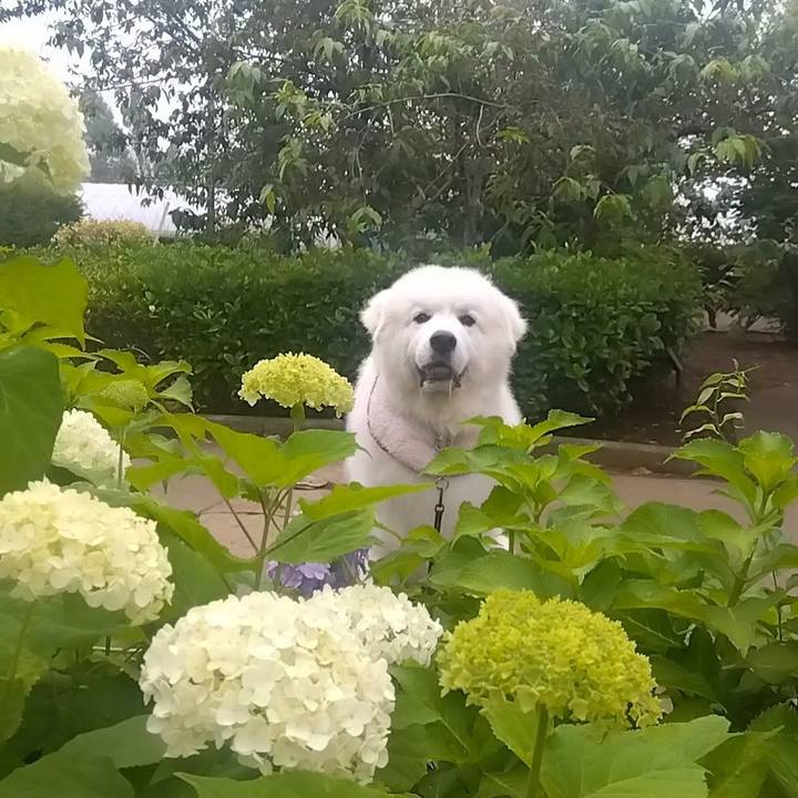 Ccffb701 9fc0 4173 a3e4 f096a52664db 1686348848674