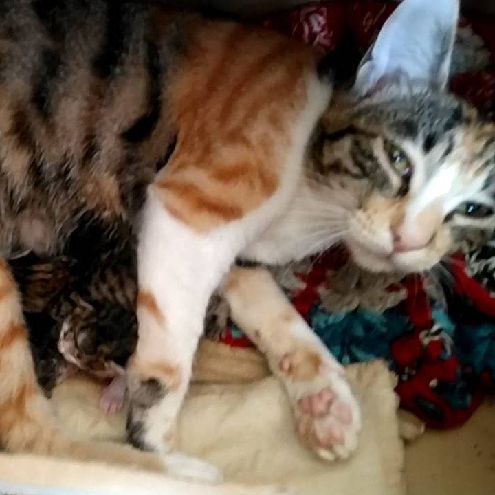 Ccffc50e 8a5b 4436 b64e 31e3f2b1a35a 1711625539600