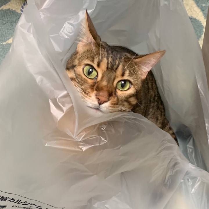 Ccffe925 9f2a 49b7 8e60 9f340e973ceb 1595635415043