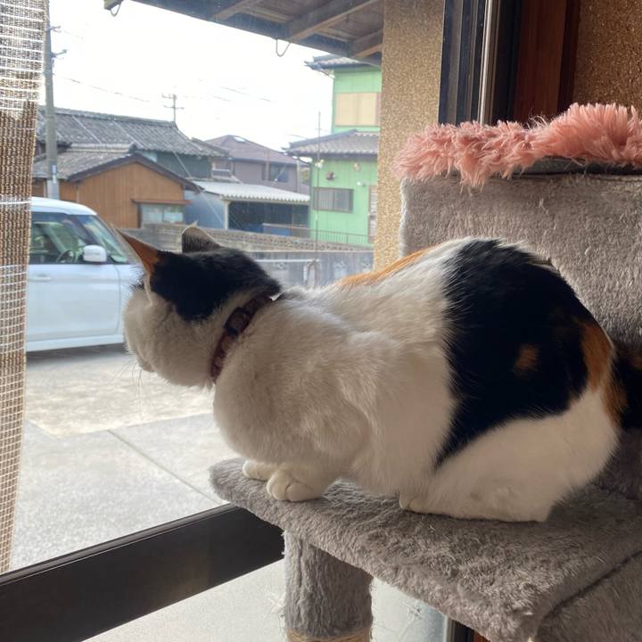 Ccffea0f 898b 48a4 85ef d9aa3296709e 1645740625535