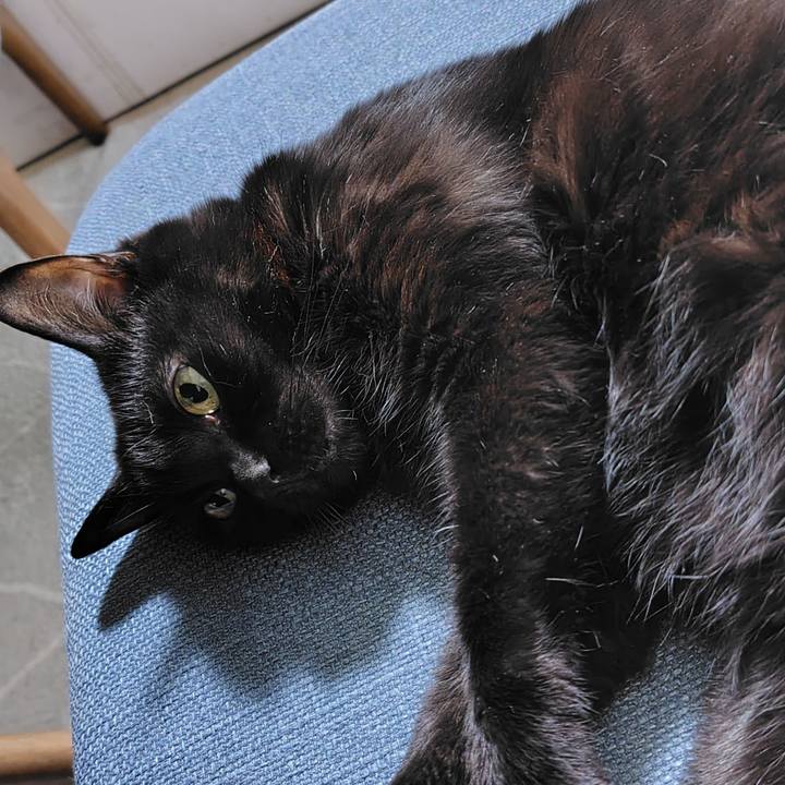 Ccfff693 6095 4c09 9c4b fe8d32595a97 1749649444059