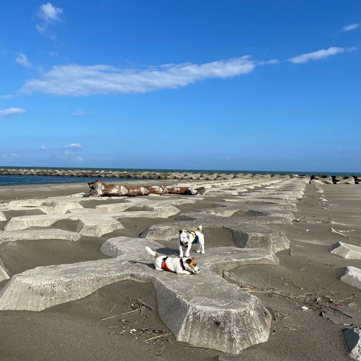 Cd0005d8 644c 48c8 9ad2 ded2a437a3c3 1689206792896