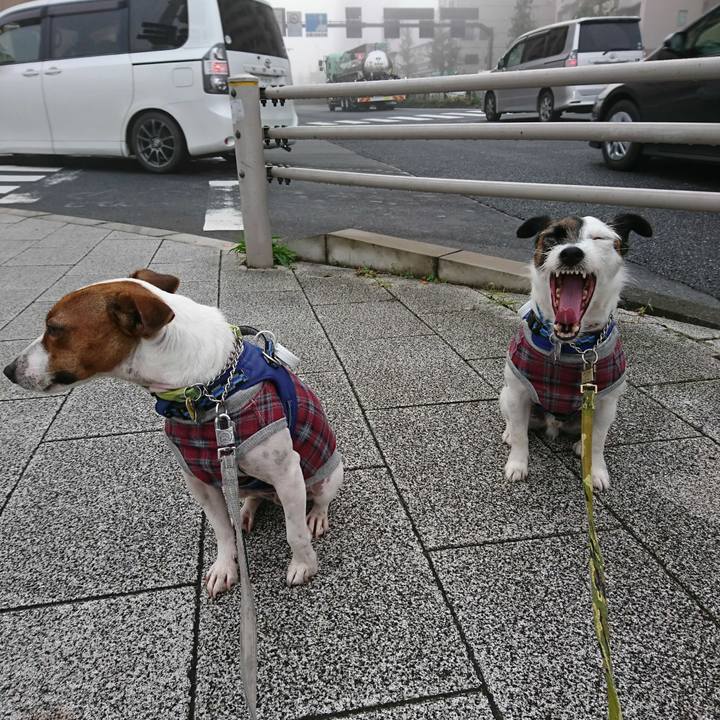 Cd0069fd c75e 4e8f b226 355ad7dd8640 1572388096224