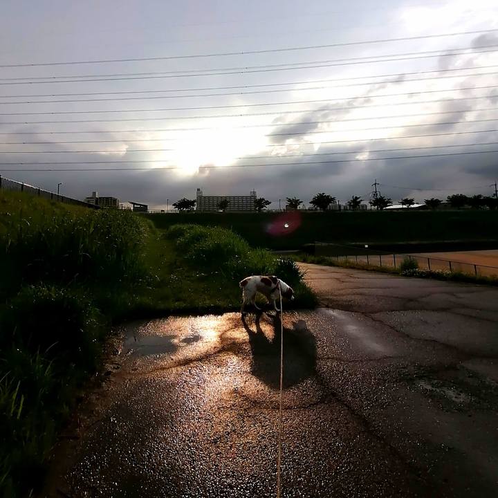 Cd007279 6a76 46e4 80d4 ca2762e7dea7 1620387150820