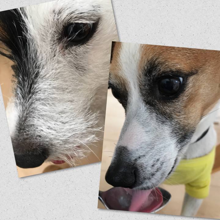 Cd009958 7cec 4bc2 a7f1 b0de8ab688a0 1528239354704