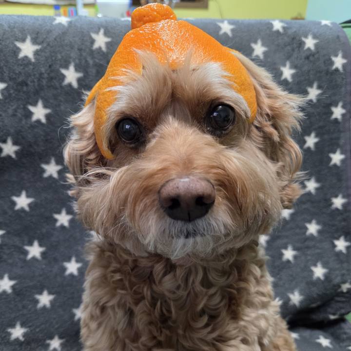 Cd00b641 6f45 40ee 969f 8c6d40785702 1773575249792