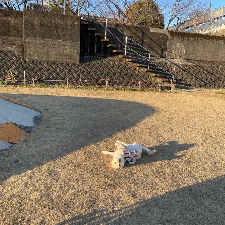 Cd00bbd6 b996 47db 8bcb 74ad2112bb48 1677403320345