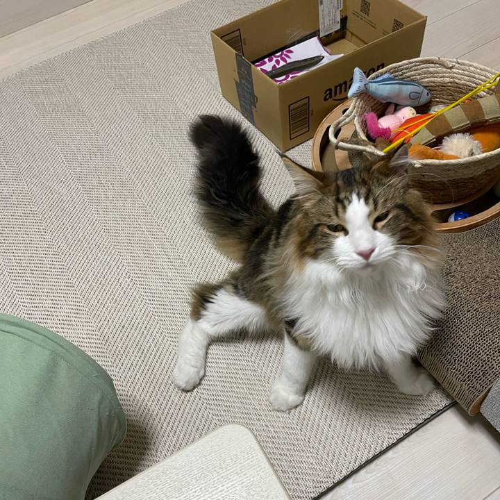 Cd00bc77 dee9 4034 a358 018b7c61af19 1645348103626