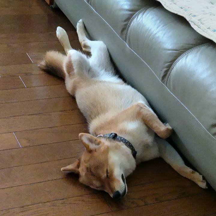 Cd00d4bc 5092 4daf 9a23 be170ff199de 1626653770338