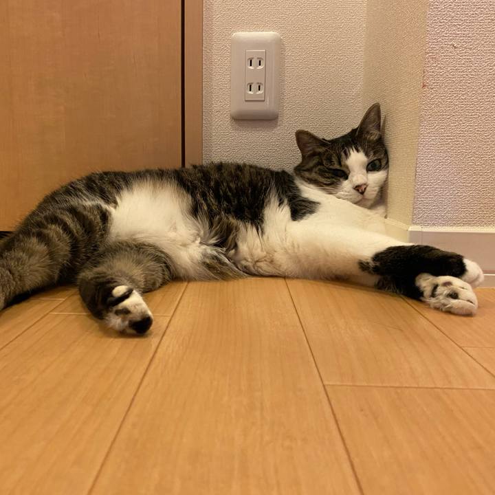 Cd00dcba 1dca 4cc4 94fb 2d6c550cf5c4 1688192009211