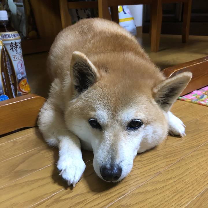 Cd010d35 3cd2 4ed5 9b19 248b7ea3f78a 1549342108313