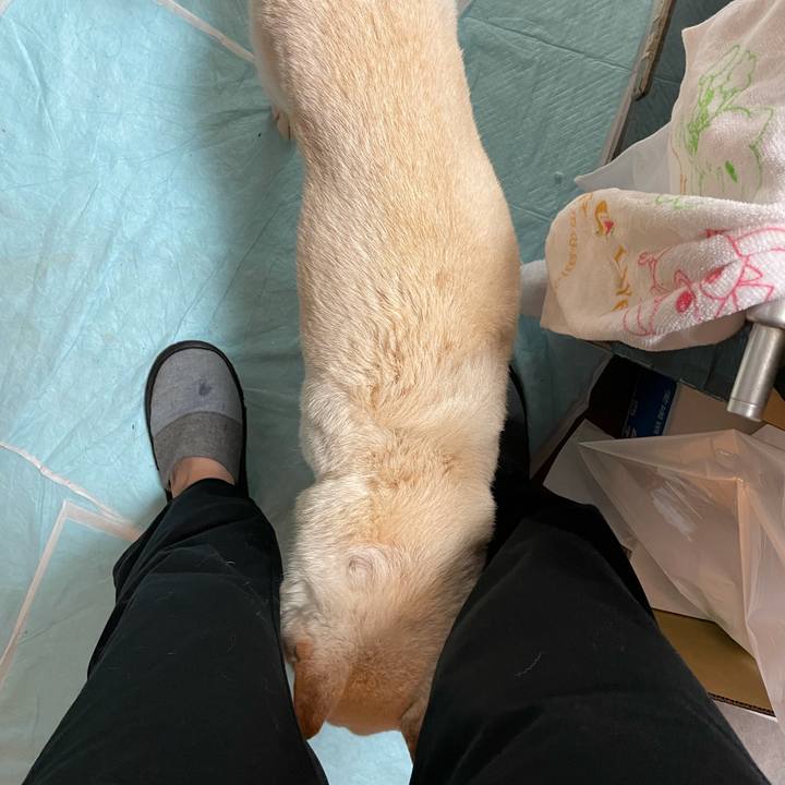 Cd0129dd c722 4141 bd94 0fcccbce49fe 1634776362627