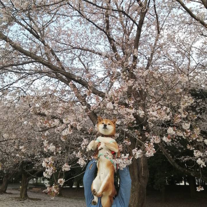 Cd016548 62a6 468e b071 fec3490692eb 1680331284481