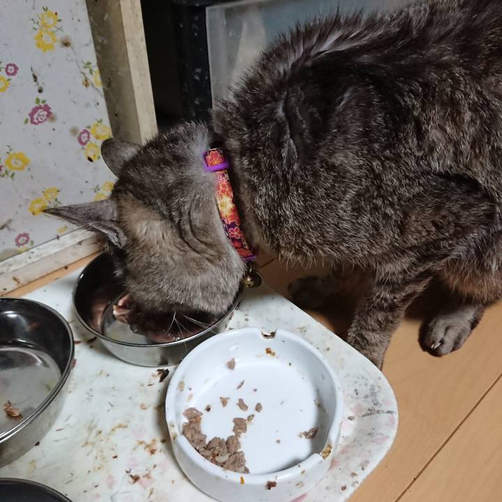 Cd016c15 7975 4076 acb2 2281f28e4fb6 1597091021351