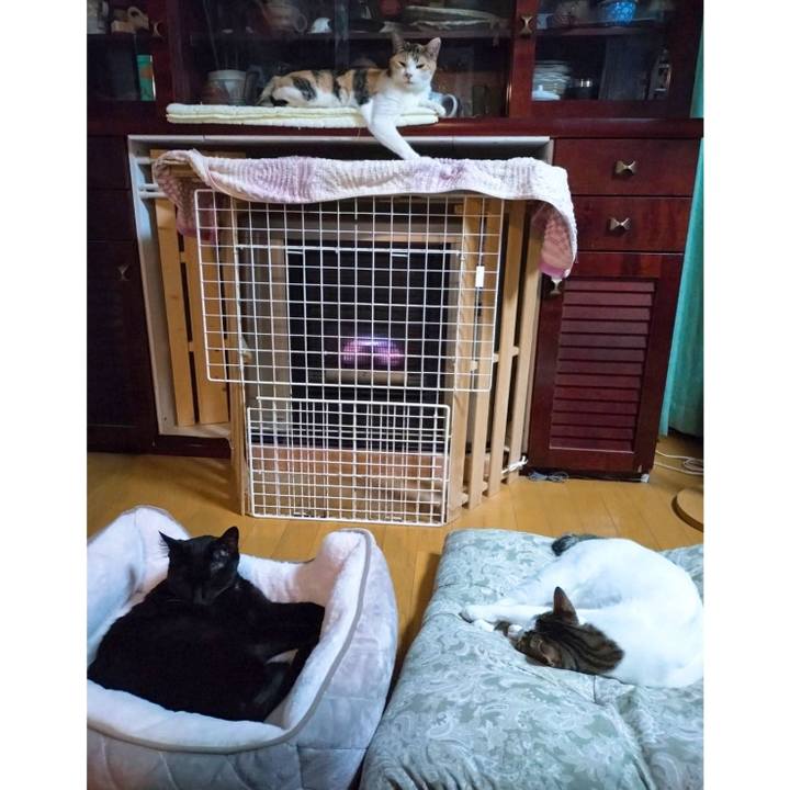 Cd01beff 62a3 47e6 a144 c34c1ae03b23 1738929956084