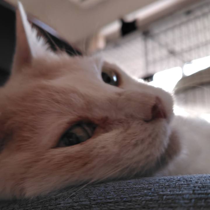 Cd01c6ff 724b 49bf 9ae3 e6fcd7abb26a 1751018058930