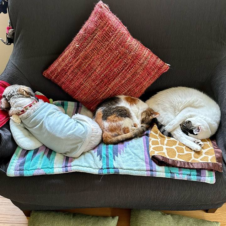 Cd01d9c7 a8d3 4eec 848e 35b65ab6bc77 1682734818007