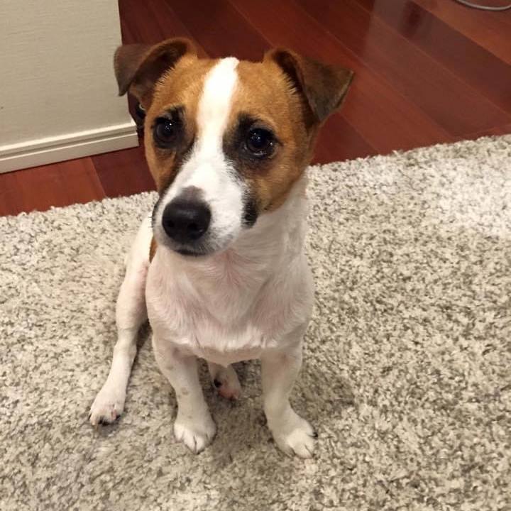 Cd01e29c fbe2 453b 803b 3033441e1dcf 1678273122700