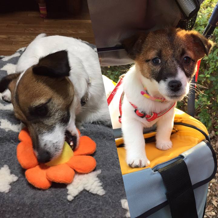 Cd01f3ef 701d 4822 b30e e846b57654e8 1553039117039