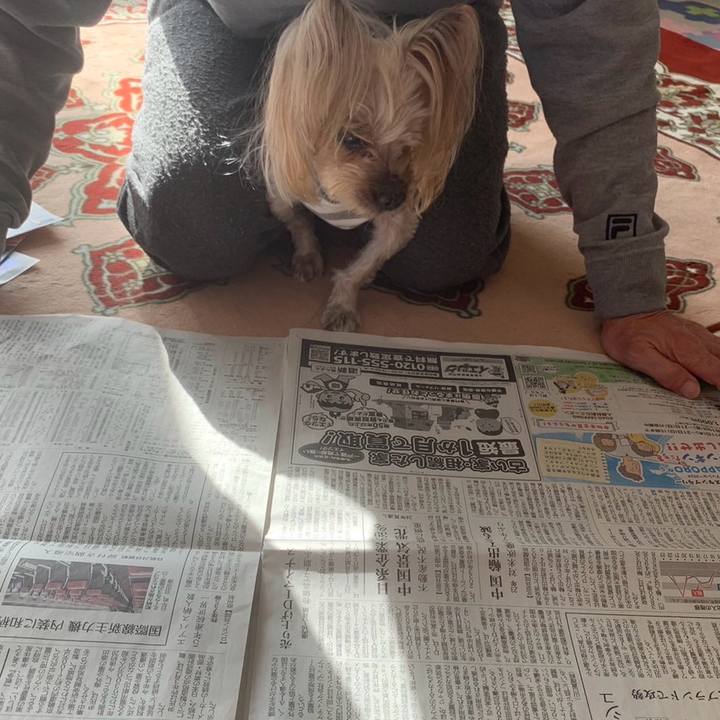 Cd01fa05 c44b 4c9d 9cef aa9619437c12 1705399369397