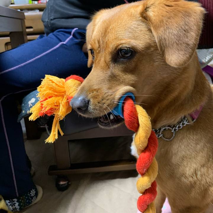 Cd01fa2b f4d2 4187 917d 785884802055 1574515119385