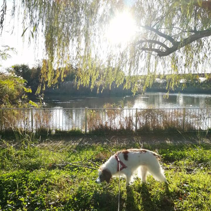 Cd022a75 7824 4742 902e 45b9a9f04ba2 1606636831084