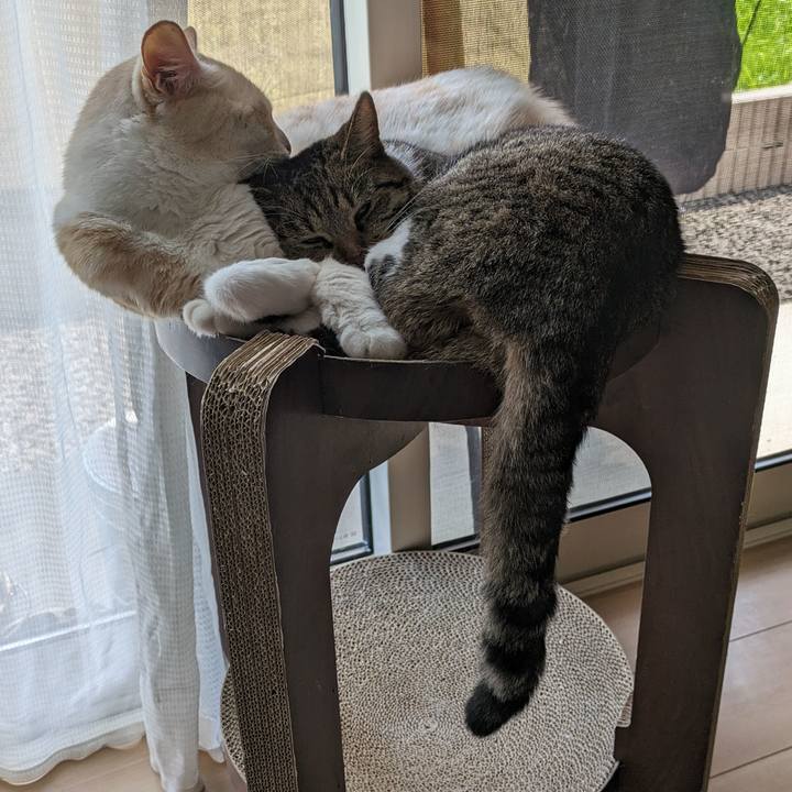 Cd0244fa ad30 42ba 89d0 e9e9e9e8d420 1691497512538