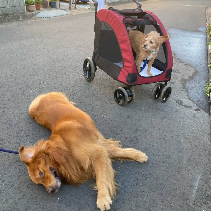 Cd024fc6 688a 48a5 b455 bc5bcee73348 1692618412717