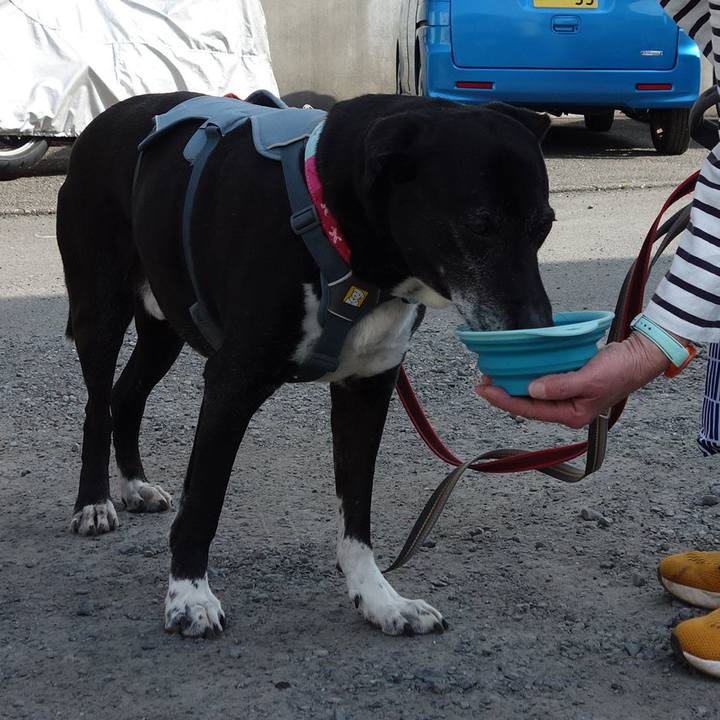 Cd0276f2 9064 46ff aeab 9cf073845b0a 1745283140543