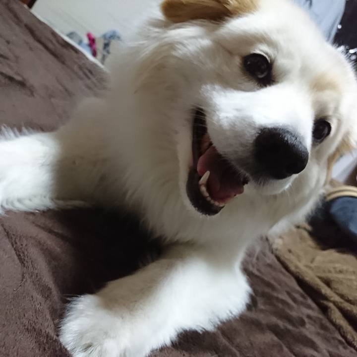 Cd027d9d bcfd 4ccb 8c70 388de4b9b8d9 1527158632083