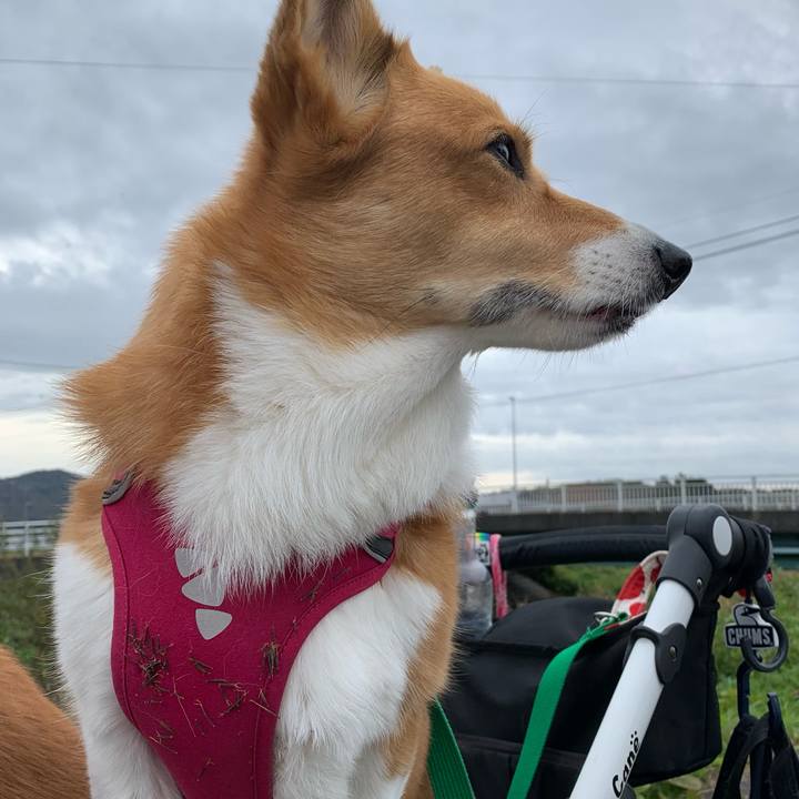 Cd028350 4e2b 4a8b b999 74bb11f0f4e0 1637208641448