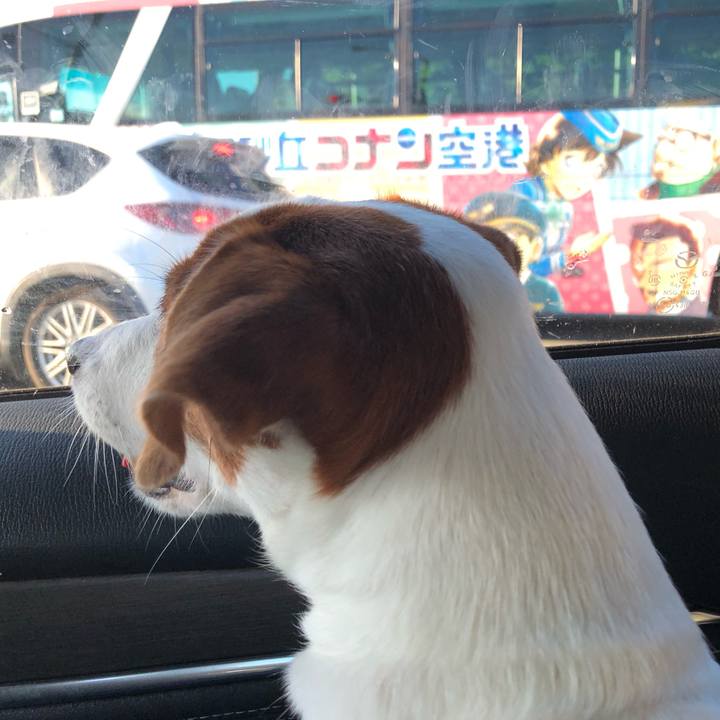 Cd0288d4 9912 475f 8d03 2af08302bbab 1693546433465