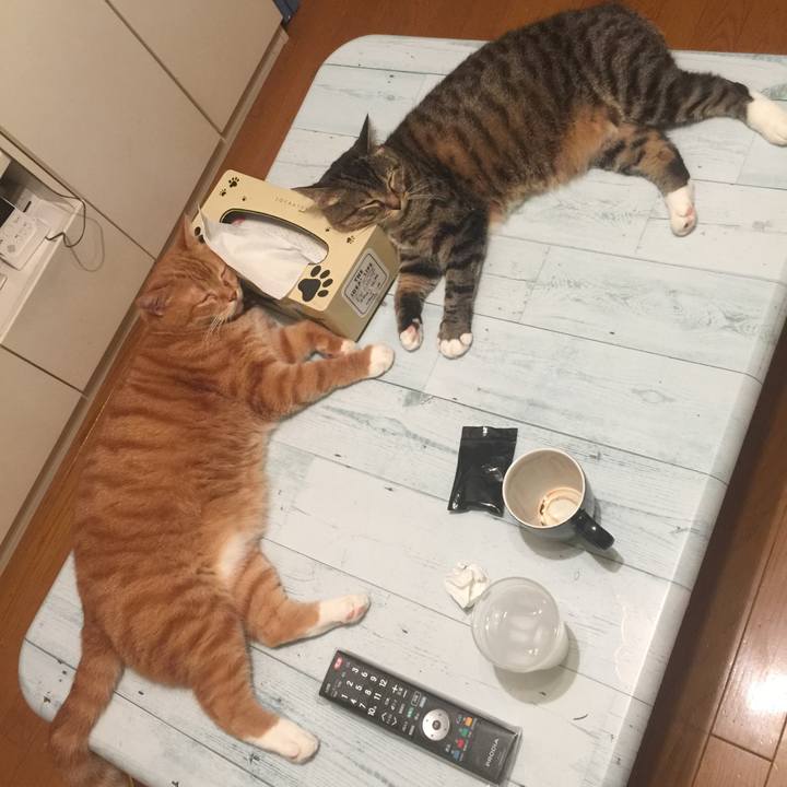 Cd029f93 5be8 4cde 8eb1 b11702070204 1566149096804