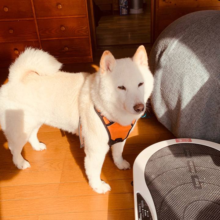 Cd02b373 8e86 4197 9746 11f35dfd6817 1675722902895