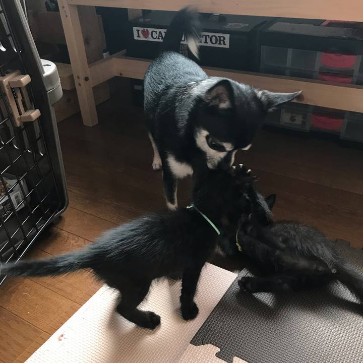 Cd02c167 9312 4d92 a705 deffc23925b2 1571010493268