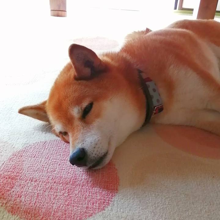 Cd02cfbf ab96 4304 b1bb 7254f7e80971 1651805303642