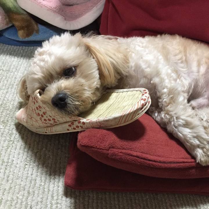 Cd02f71c 4300 4262 859f a675b7b3c01e 1542117713263