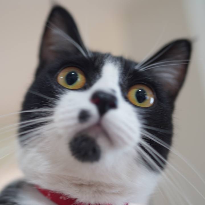 Cd0301c4 0d3f 4fd0 acd3 df7b379b6a3d 1599912917489