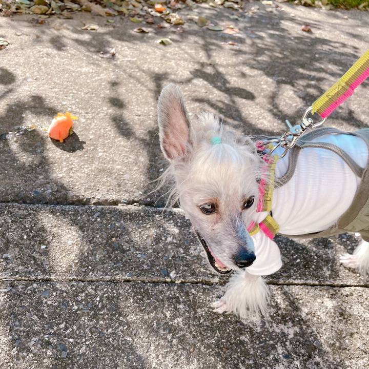 Cd031ba9 8e54 416f 8c6d e39415720237 1759823126291