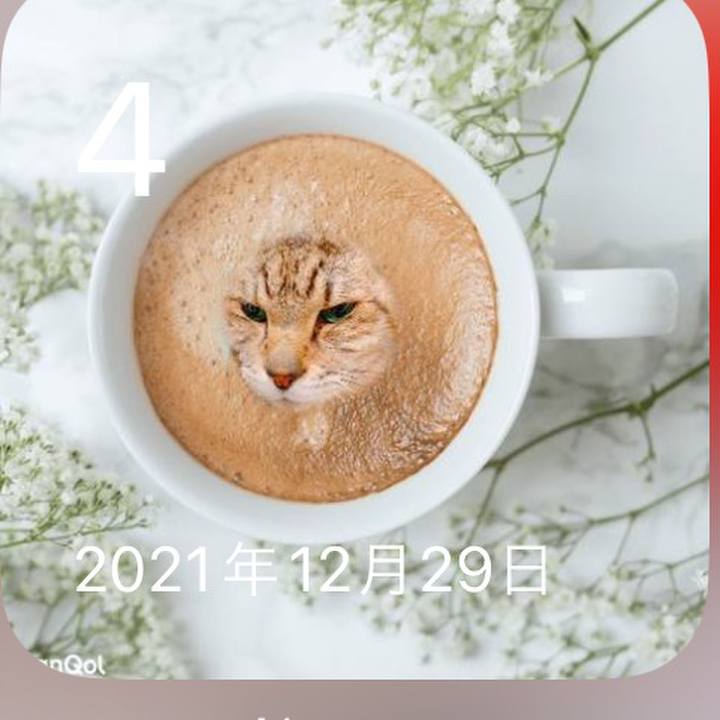 Cd032edd e4d3 4027 9e48 25330f937bfd 1704324328573