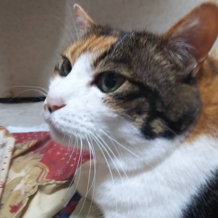 Cd0397b6 de50 4540 b749 cee8ddd58335 1565042044325