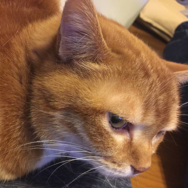 Cd039ffe 24d3 47a0 81d2 8f0ce37563a7 1549355507830