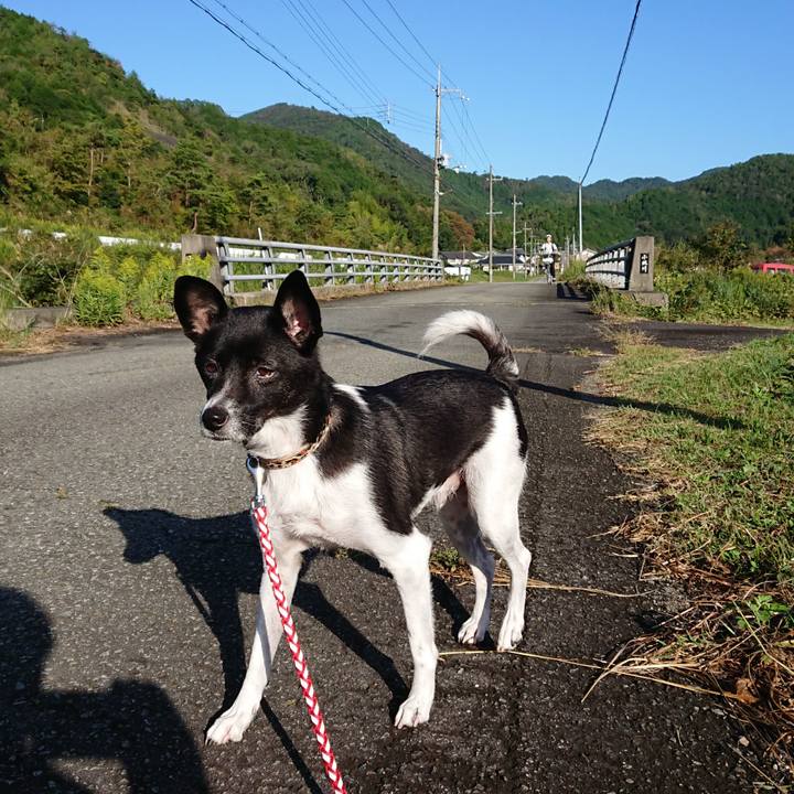 Cd03b2c8 cc1d 4b5a 99ff 51b419d4cde1 1570578867102